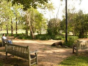 210 Glenwood Drive, Houston TX 77007