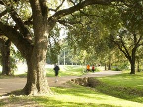 210 Glenwood Drive, Houston TX 77007