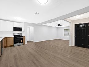 8707 Fannette Street, Houston TX 77029