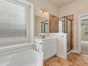 20530 Conery Grove Drive, Porter TX 77365