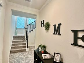8908 Terrace Pass Drive, Houston TX 77080