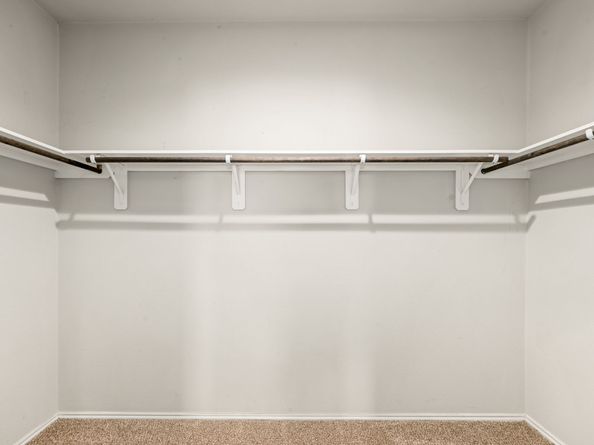 23119 Rivercane Shadow Trail, Spring TX 77373