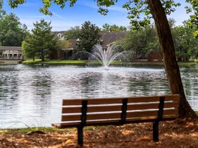 135 N Magnolia Pond Place, The Woodlands TX 77381
