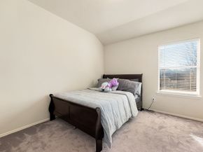 1915 Fergus Park Court, Houston TX 77047