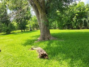 5535 Flamingo Drive, Houston TX 77033