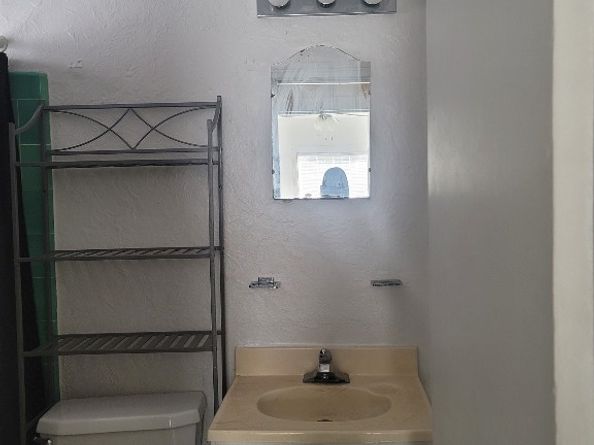 1914 Binz Street 7, Houston TX 77004