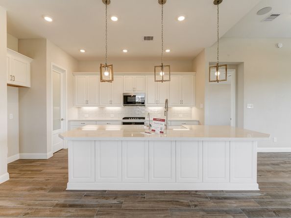 21743 Zebra Swallowtail Drive, Cypress TX 77433