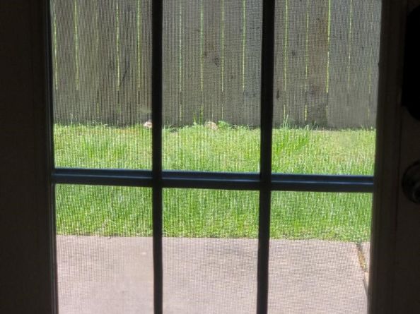 4526 Cannongate Drive, Spring Branch TX 77373