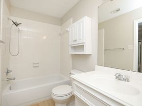 28519 Peper Hollow Lane, Spring TX 77386