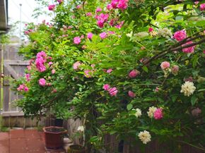 18406 Hilltop Climb Drive, Hockley TX 77447