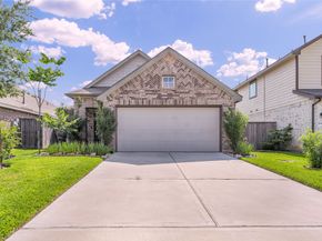 18406 Hilltop Climb Drive, Hockley TX 77447