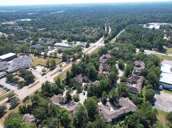 21 Scarlet Woods Court, The Woodlands TX 77380