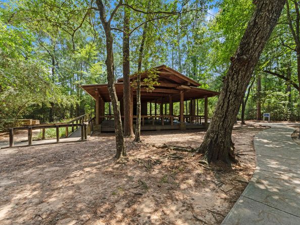 154 Black Swan Place, The Woodlands TX 77354