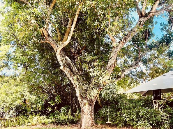 4827 NW 2nd Ct, Plantation FL 33317