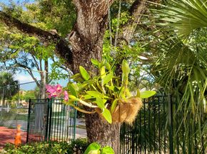 8120 SW 24th St 212, North Lauderdale FL 33068