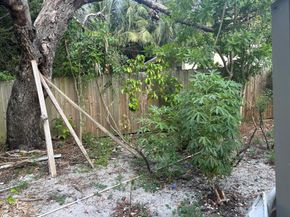 633 48th Street, West Palm Beach FL 33407