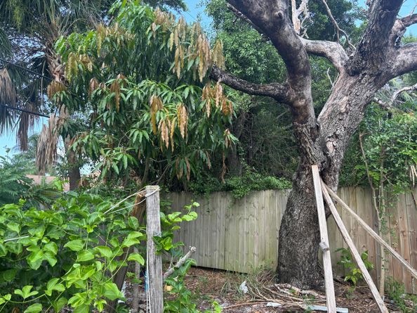 633 48th Street, West Palm Beach FL 33407