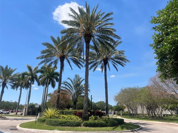 5051 Wiles Rd 201, Coconut Creek FL 33073