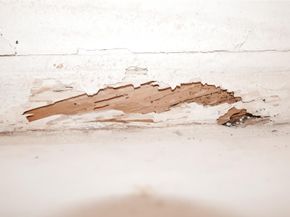 5170 NE 18th Ter, Fort Lauderdale FL 33308