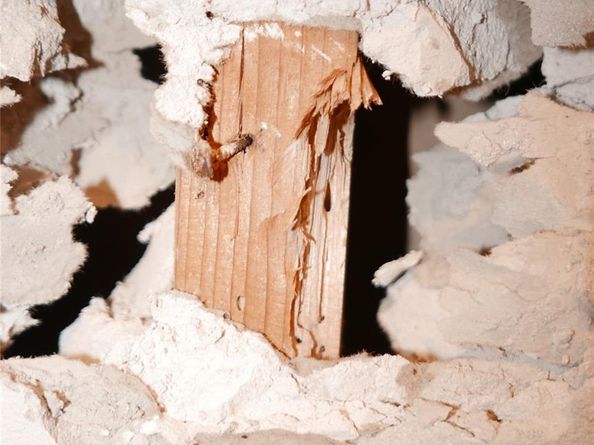 5170 NE 18th Ter, Fort Lauderdale FL 33308