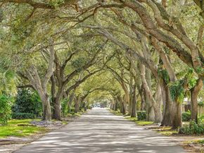 513 SW 15th St, Fort Lauderdale FL 33315