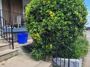 309 Rosemar Street, Philadelphia PA 19120