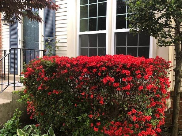 4534 Shoal Creek Court, Alexandria VA 22312