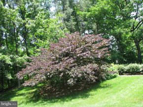 205 Yoakum Parkway 1016, Alexandria VA 22304