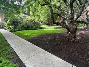 4000 Gypsy Lane 247B, Philadelphia PA 19129