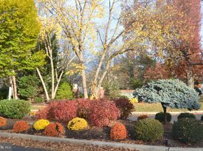 105 Bolton Court 156, Ambler PA 19002