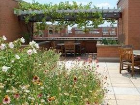 631 D Street NW 1038, Washington DC 20004