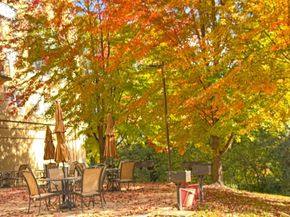 1030 E Lancaster Avenue 1029, Bryn Mawr PA 19010