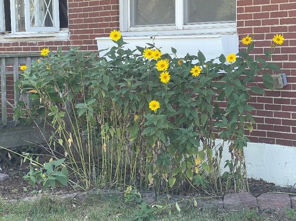 512 Essex Road, Norwood PA 19074