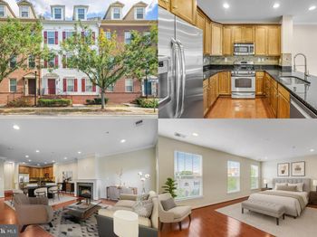 3941 Old Dominion Boulevard