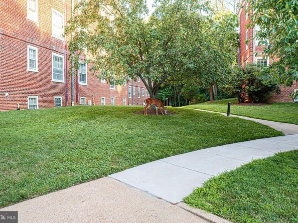 3880 NW Rodman Street NW D214, Washington DC 20016