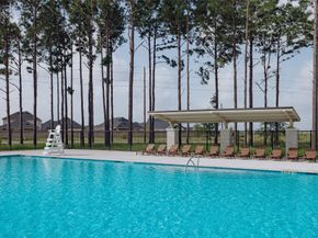 8047 Orchid Greenery Drive, Cypress TX 77433