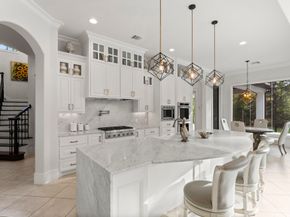 27374 Shady Hills Landing Lane, Spring TX 77386