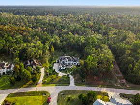 27374 Shady Hills Landing Lane, Spring TX 77386