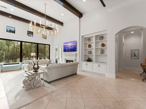 27374 Shady Hills Landing Lane, Spring TX 77386