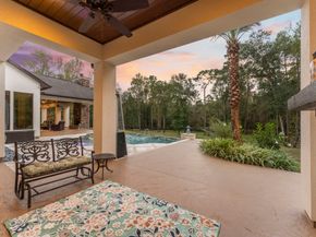 27374 Shady Hills Landing Lane, Spring TX 77386