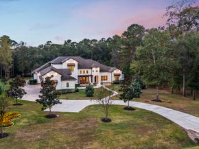 27374 Shady Hills Landing Lane, Spring TX 77386