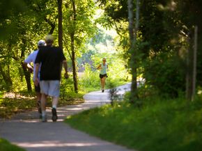 14411 Chartley Falls Drive, Houston TX 77044