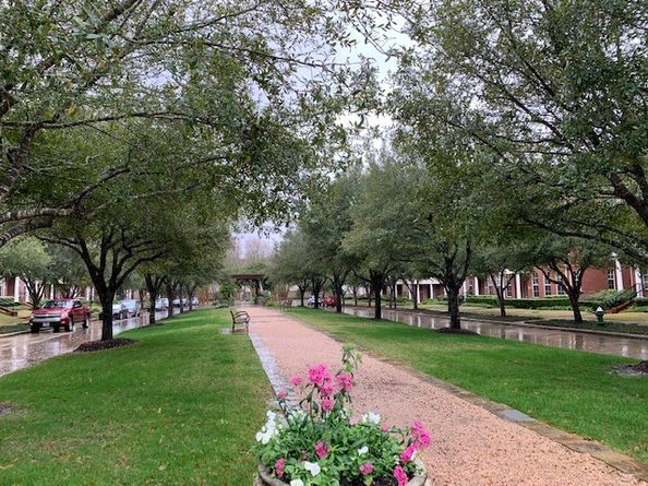 70 Shell Port Square, The Woodlands TX 77380