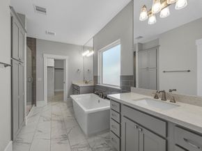 15 Black Dog Lane, Spring TX 77389