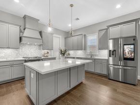 15 Black Dog Lane, Spring TX 77389