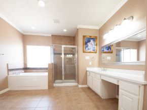 3206 Holly Thicket Drive, Houston TX 77042