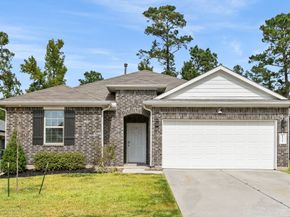 11722 Bari Reef Lane, Conroe TX 77304