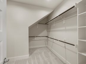 2025 Atlas Cedar Drive, Conroe TX 77301