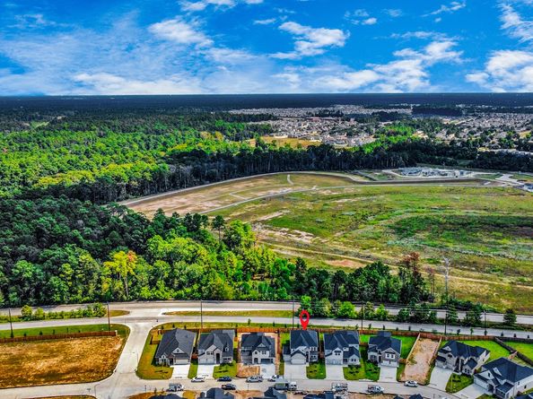 3110 Skerne Spring Drive, Spring TX 77373