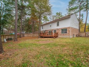 51 Fire Flicker Place, The Woodlands TX 77381
